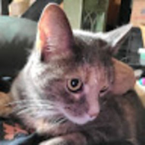 Meet your Posher, Patricia